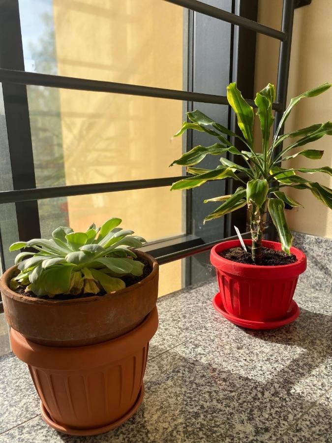 Appartamento Eliana Асті Екстер'єр фото